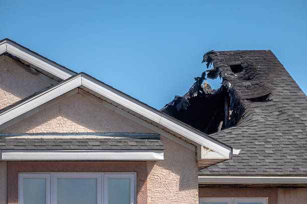 Top rated local Fire Damage Removal specialists in Gainesville, FL